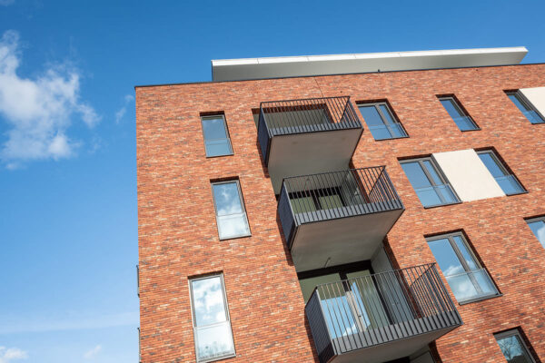 Nel_Falo_GnkPrtVida_II-075_1-6WK7