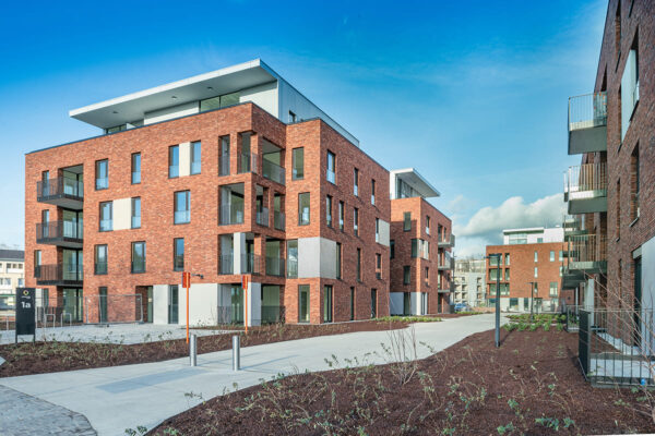 Nel_Falo_GnkPrtVida_II-092_1-BTGY