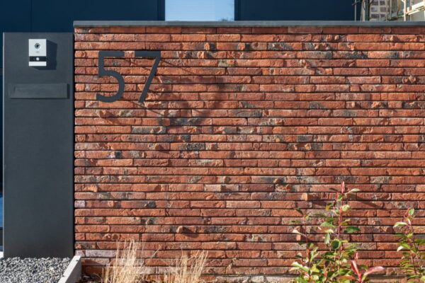 Nel_Falo_Vltingn_001-GBPN