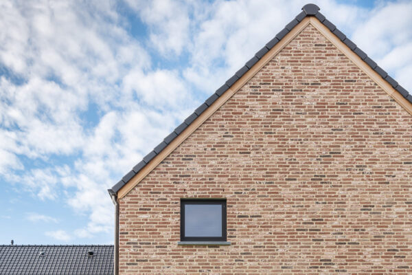 Nel_Hades-2_Alkn_005-Y8P1