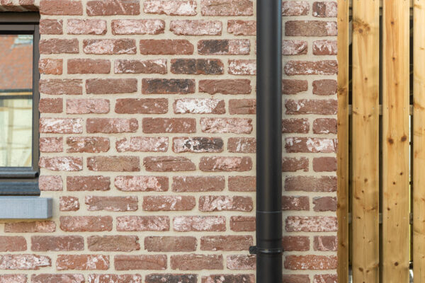 Nel_Hades-2_Alkn_030-TK5K