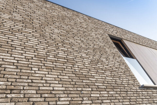 ares017_website-MDMK