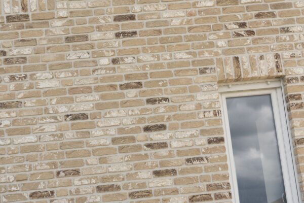 nelissen_APOLLO_1-T2G4