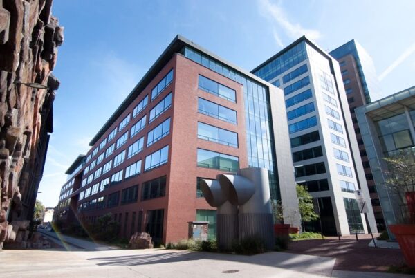 nelissen_AUBERGINE_13-I453