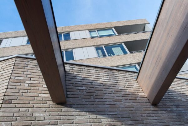 nelissen_CAP-GRIS-NEZ_11-UYMP