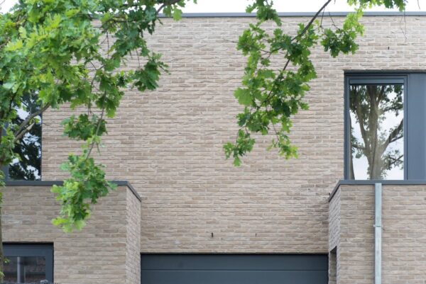 nelissen_CAP-GRIS-NEZ_3-FGRK