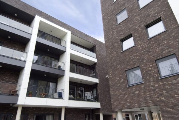 nelissen_Dali_12-H8YV