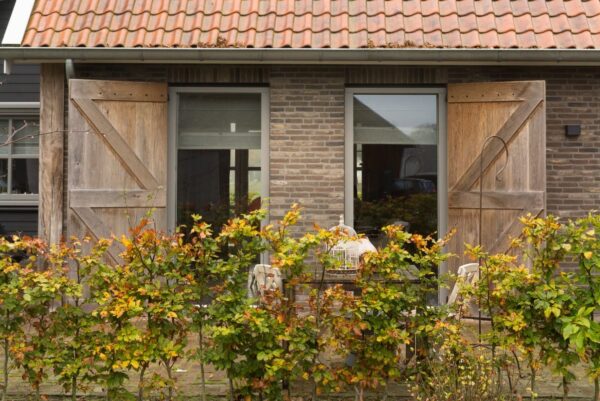 nelissen_Dali_6-91S1