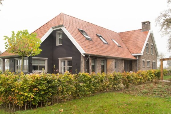 nelissen_Dali_7-4AWR