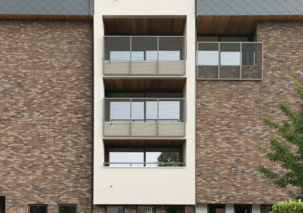 nelissen_Dali_9-69C6