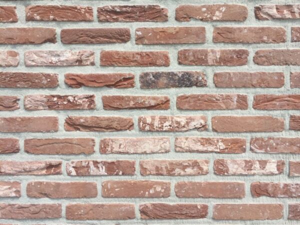 nelissen_HELENA_2-JY63