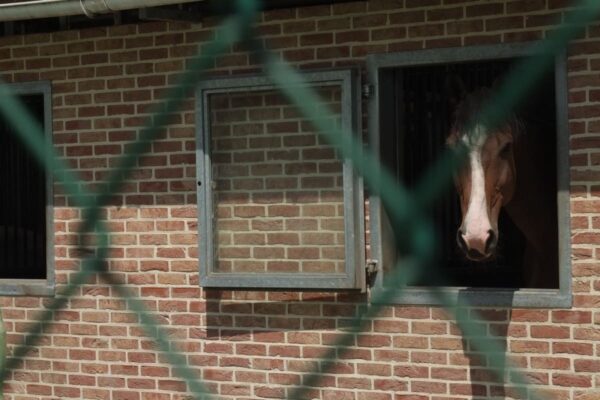 nelissen_KLAMPSTEEN-KESSELT_9-Z4JE