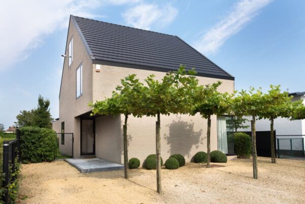 nelissen_PISTACHE_6-WAF8