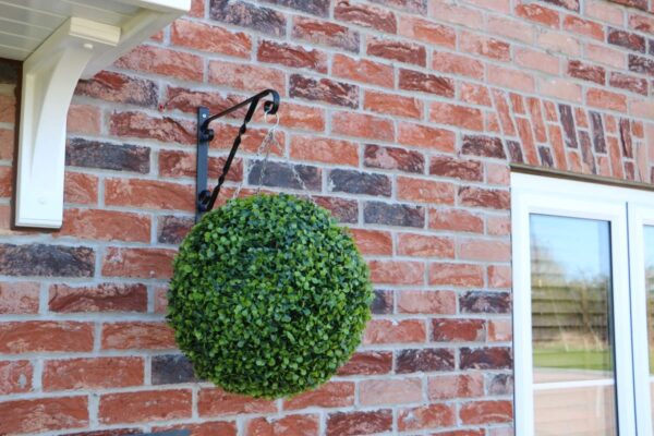 Henley Blend hanging basket