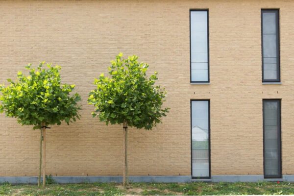 nelissen_RUBIO_5-0AU6