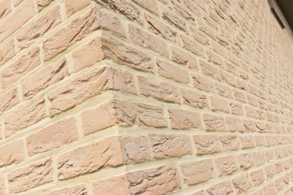 nelissen_RUBIO_6-AO1B