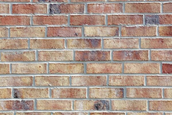 wiesmoor_erd-bunt_weissach_1