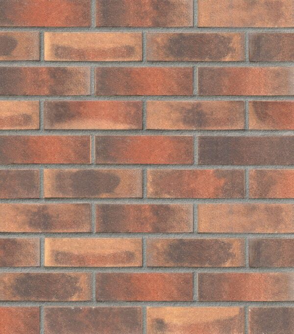 TOULOUSE rot-bunt carbon